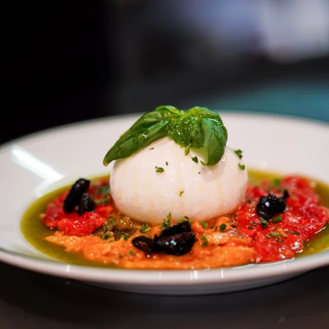 Un classique sublimé par la fraîcheur de nos produits. Notre burrata fondante accompagnée de saveurs de saison… Un délice tout en simplicité, à savourer sans modération 🍴

📍 9 Boulevard de la République, Cannes
📞 Réservation : 04.93.99.79.87